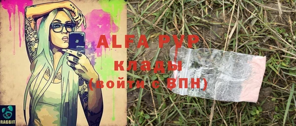 марки lsd Гусиноозёрск