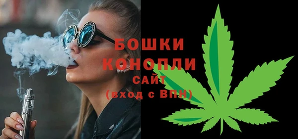 амф Гусь-Хрустальный