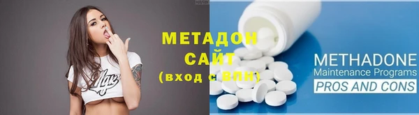 амф Гусь-Хрустальный