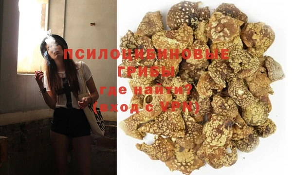 амф Гусь-Хрустальный