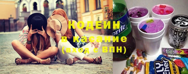 амф Гусь-Хрустальный