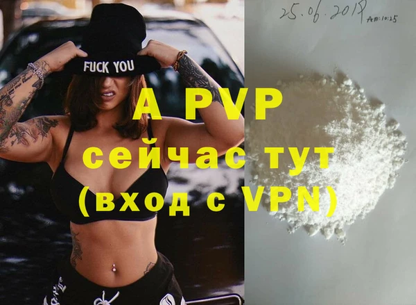 амф Гусь-Хрустальный