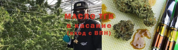 амф Гусь-Хрустальный